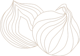 Line drawing of onions